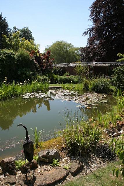 28. Primrose Garden.JPG